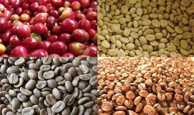 巴西咖啡豆的特點，巴西咖啡豆的種類