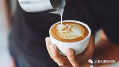 加拿大衛生部公佈咖啡因安全攝入量過量可導致猝死