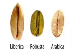 波多黎各咖啡豆產區信息產區分佈風味描述特點種植歷史