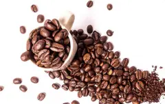 波多黎各單品豆咖啡豆種植歷史種植品種產區風味描述處理法