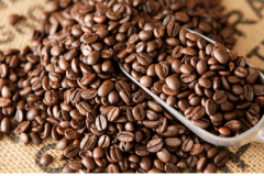 厄瓜多爾咖啡單品豆種植產區種植特點風味描述