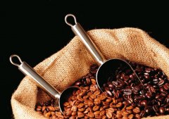 薩爾瓦多喜馬拉雅莊園單品豆咖啡豆風味描述種植信息