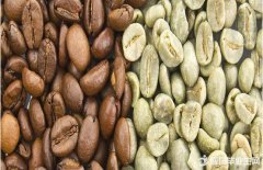 卡杜艾單品豆咖啡豆品種變種介紹風味描述種植區域