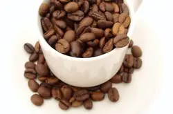西達摩咖啡製作方式，西達摩咖啡介紹