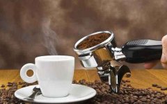 咖啡知識 | 咖啡樹的生命旅程