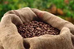 肯尼亞單品豆風味描述品種種植發展歷史產區處理法介紹