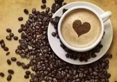 厄瓜多爾聖克魯茲莊園咖啡豆風味描述 聖克魯茲莊園咖啡怎麼喝衝