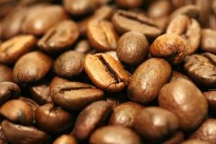 阿魯沙咖啡莊園咖啡產區介紹 阿魯沙莊園咖啡豆海拔多少