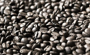 肯德基現磨咖啡百分之百阿拉比卡咖啡豆簡介