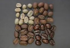 巴布亞新幾內亞天堂鳥莊園咖啡豆特點是什麼 天堂鳥莊園咖啡多少