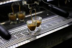 肯尼亞伯曼莊園咖啡的特色 伯曼莊園的咖啡種類介紹