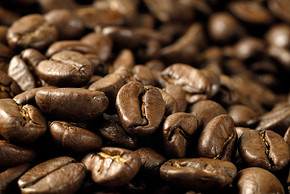 曼特寧咖啡的來源 ，曼特寧咖啡的