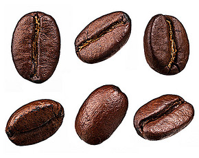 哥斯達黎咖啡豆是怎麼處理的？