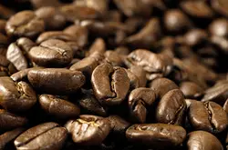 怎樣認識卡蒂姆咖啡豆？
