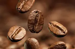 有一種叫貓屎咖啡豆的嗎