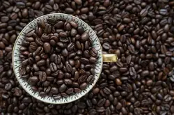 西達摩咖啡豆口感風味描述 埃塞俄比亞咖啡花魁6.0特點介紹