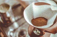 印尼曼特寧咖啡單品豆分級、價格、生豆及烘焙曲線