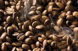 西達摩凱貝朵咖啡豆風味介紹