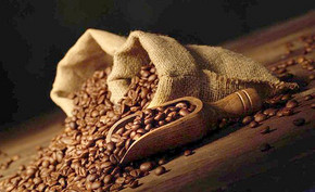 印度“咖啡皇家”等級羅布斯塔介紹