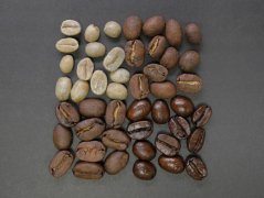 巴西咖啡單品豆分級、價格、生豆及烘焙曲線
