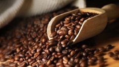 雲南茶鄉被咖啡改變——咖啡豆種植戶達3萬 產品出口歐洲