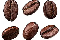 洪都拉斯Finca Santa Marta 聖塔瑪塔莊園咖啡豆