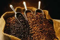 盧旺達波本咖啡風味描述