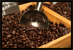 乞力馬紮羅咖啡單品豆差別、區分及獲獎情況