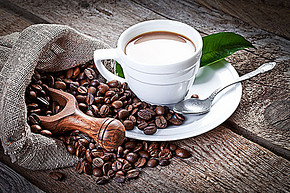 你真的瞭解咖啡嗎？咖啡樹如何種植？