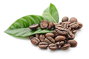 巴拿馬藍標瑰夏咖啡豆