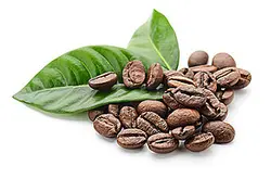巴拿馬藍標瑰夏咖啡豆