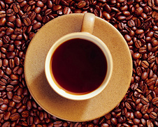 超實用的咖啡渣養花方法