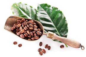 夏威夷產的科納(Kona)咖啡豆的特徵