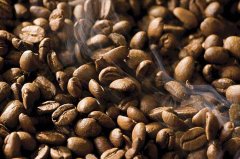 巴拿馬波奎特花蝴蝶咖啡豆歷史起源種植產區風味描述