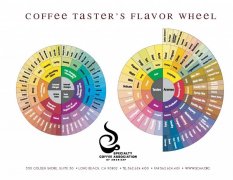 咖啡各式美妙而複合的香氣是如何產生的？