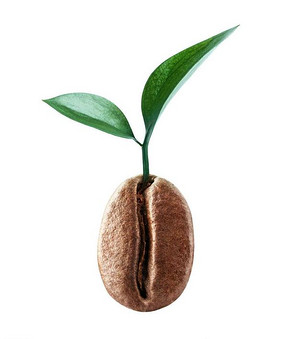 哥倫比亞Excelso EP安蒂奧基亞咖啡豆品種介紹