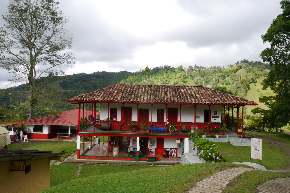 哥倫比亞咖啡原產地的奧祕—你所不能錯過的咖啡園祕境之旅