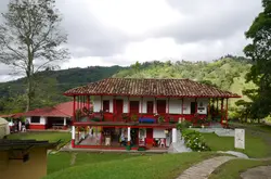 哥倫比亞咖啡原產地的奧祕—你所不能錯過的咖啡園祕境之旅