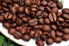 咖啡小知識 | 爲什麼咖啡豆要養？怎麼養？
