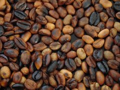 談談咖啡烘焙：咖啡豆能不能分兩次烘焙？