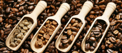 咖啡生豆爲什麼不能混合烘焙？