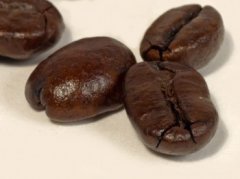 一分鐘教你如何自行挑選咖啡豆