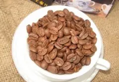 不同咖啡濾杯衝煮的咖啡風味區別