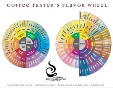SCAA揭開全新的咖啡風味環 字典和風味環各自獨立存在