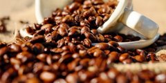 全世界最貴咖啡現身澳大利亞新州 601澳元一磅
