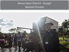 肯尼亞 ＡB 大裂谷 庫爾德農民合作社風味口感香氣描述
