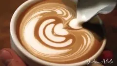 達人祕籍 | 奶泡上的愜意 咖啡拉花DIY
