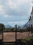 盧旺達-布達雷省 巴卡合作社咖啡風味口感香氣描述