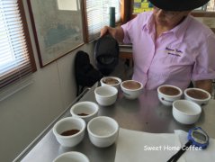 巴拿馬卡薩路易茲莊園 PACAMARA品種甜美咖啡風味口感香氣描述