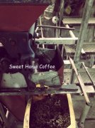 埃塞俄比亞-水洗 古籍咖啡風味口感香氣描述